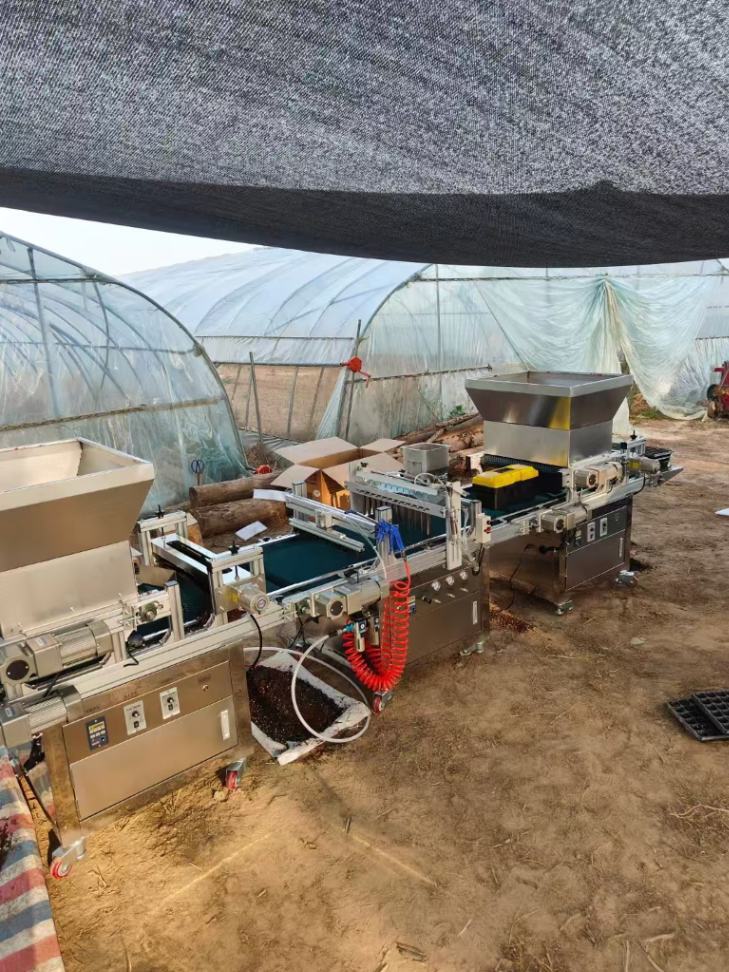 Gewächshaus-Gemüse-Anzuchtmasc – Nursery Bewertung und Preis